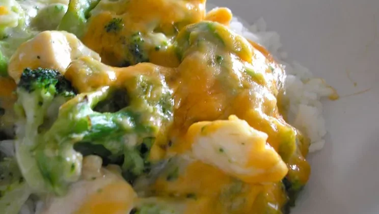 Simple and Delicious Quick Chicken Divan Recipe for Beginners