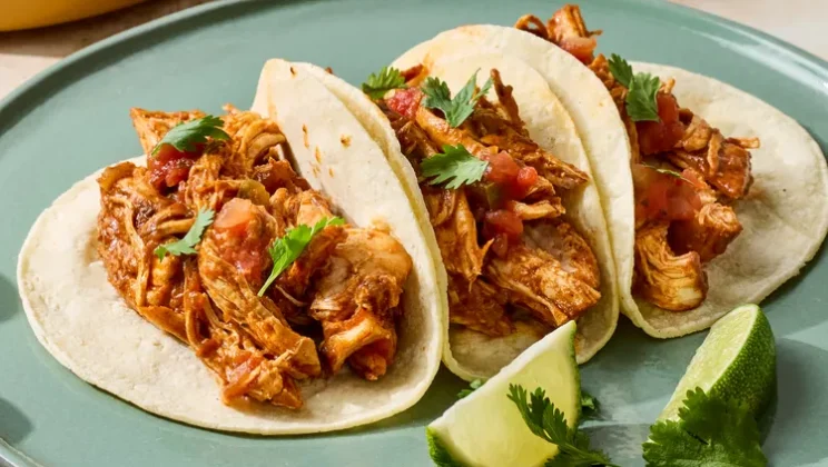 Simple and Delicious Instant Pot Salsa Chicken Recipe for Beginners